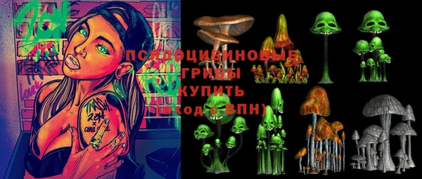 мяу мяу мука Алексин